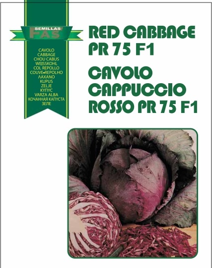 CAVOLO CAPPUCCIO ROSSO F.1 PR 75 GG. 10.000 SEMI